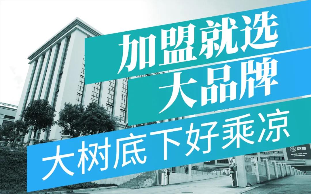 【三万起 做代理】带你入智能晾衣机项目，和晾霸一起犇富2021